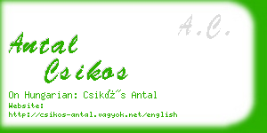 antal csikos business card